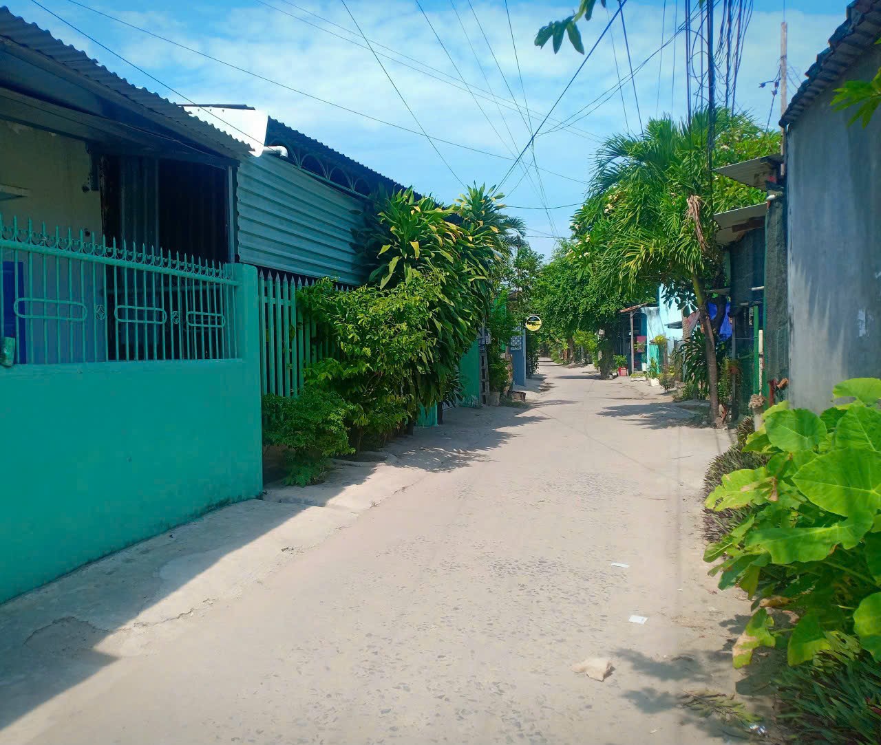 z4547659976342_7fdc9185a2713ee8ae59ce75f44d1dbf