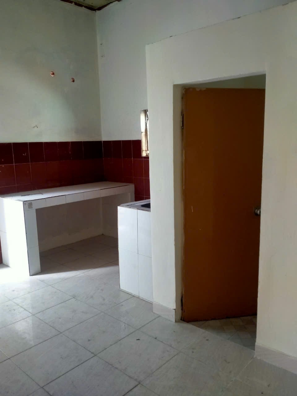 z5049888136075_86adaf54743a6d2810d5adfbc54cb34e