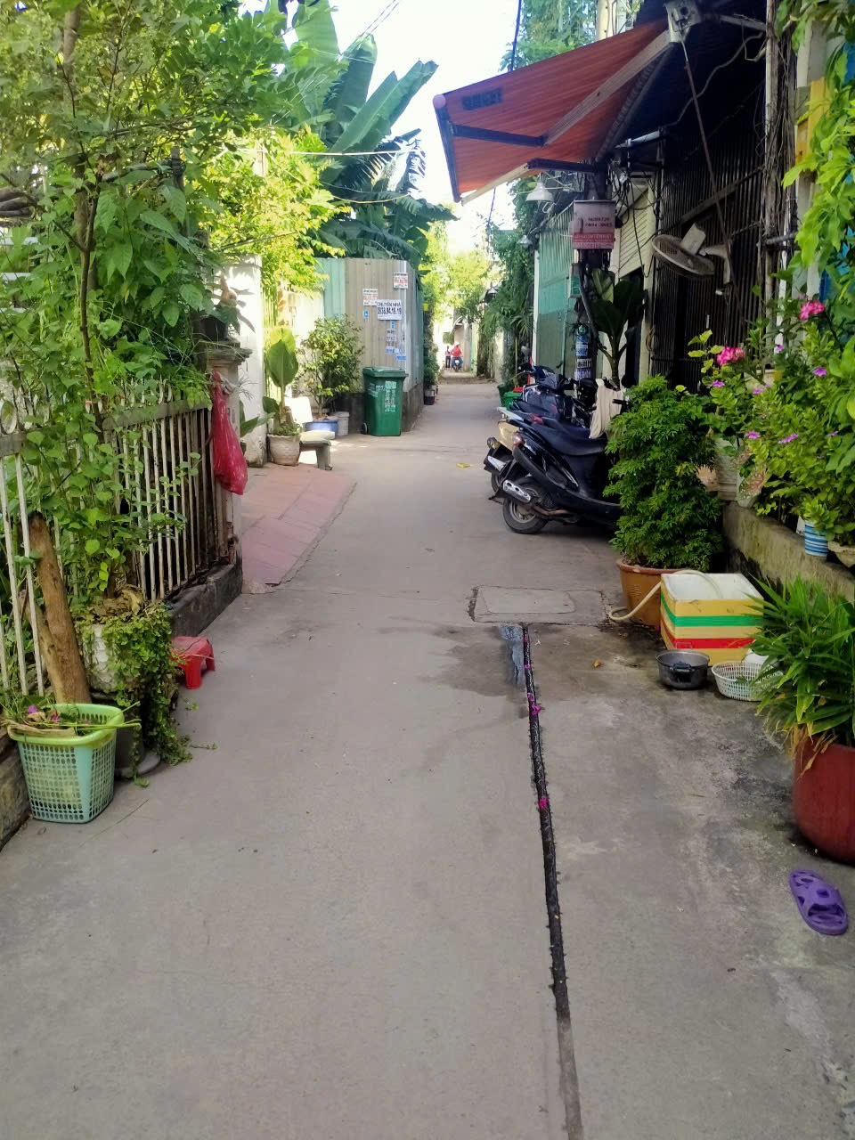 z5049888142913_8c40b2c71196d4040d47312117765cb0