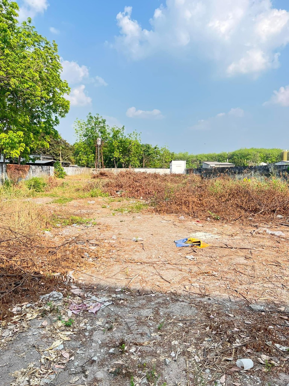 z5230561470048_6f3d547519d2f7177eb4e98676863ad5