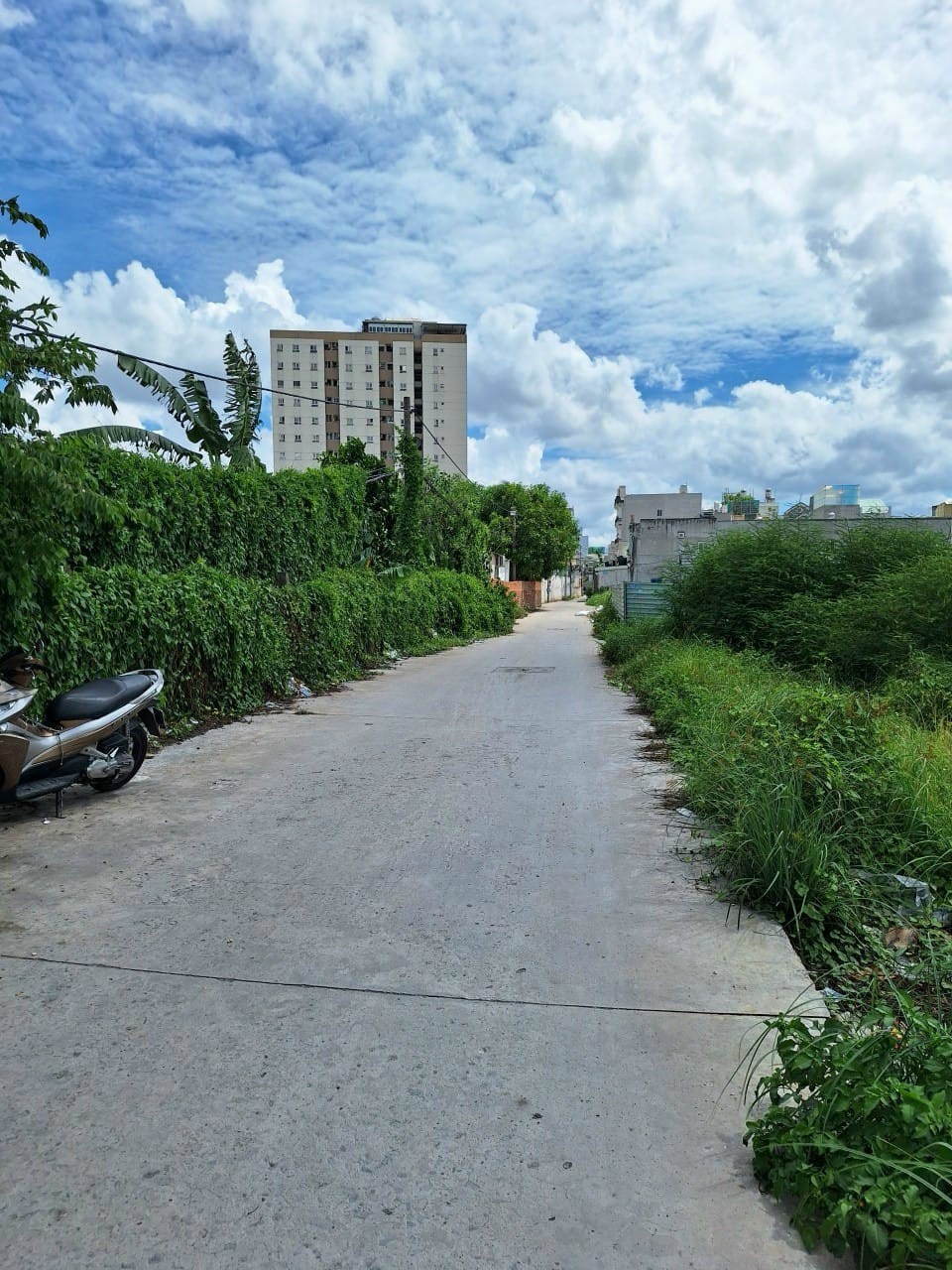 z5277649370775_5fee52627259035d2bc776a8334561eb