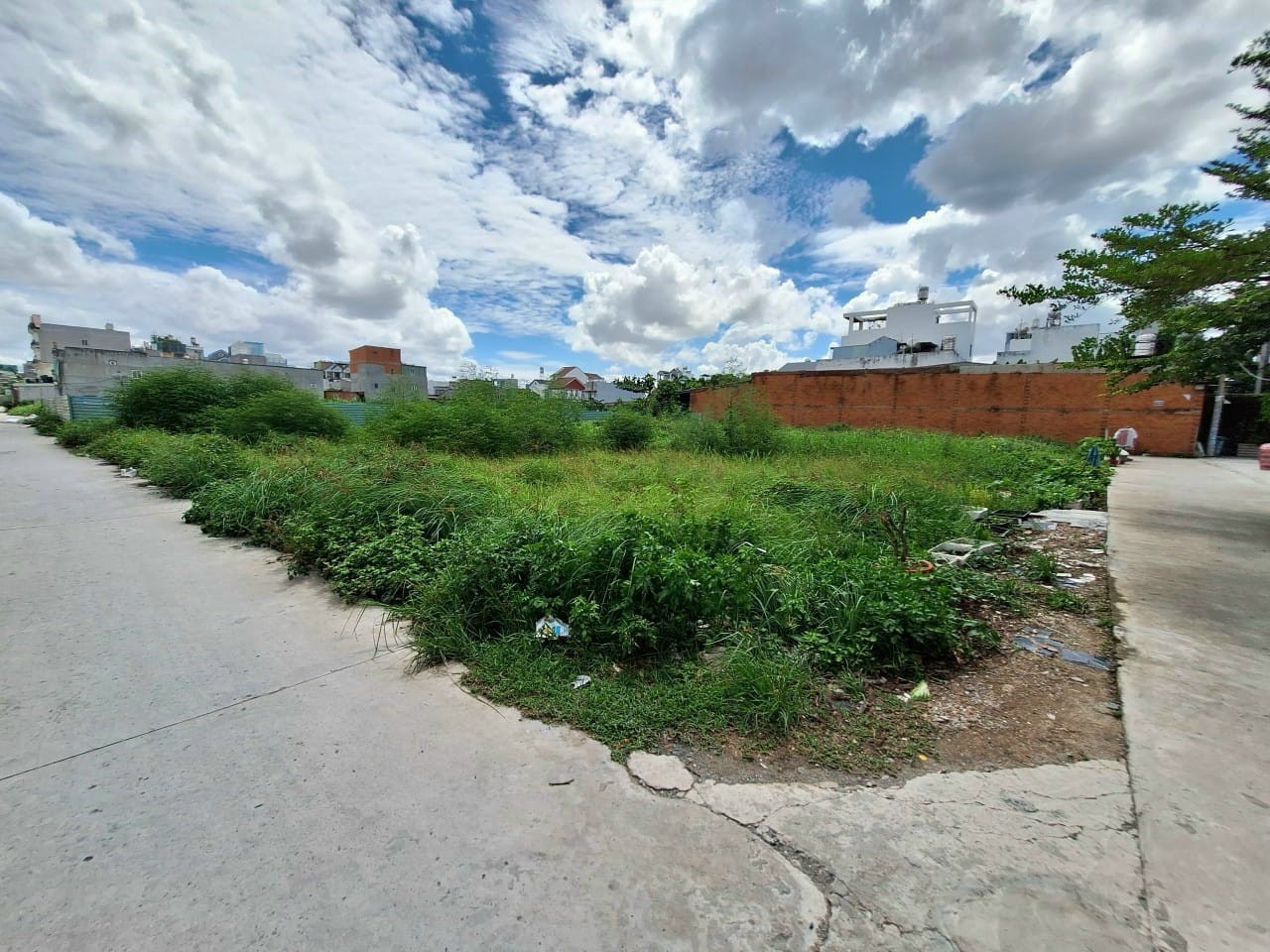 z5277649375260_8e6465b718131caa9f90a4cbe6bd8d71