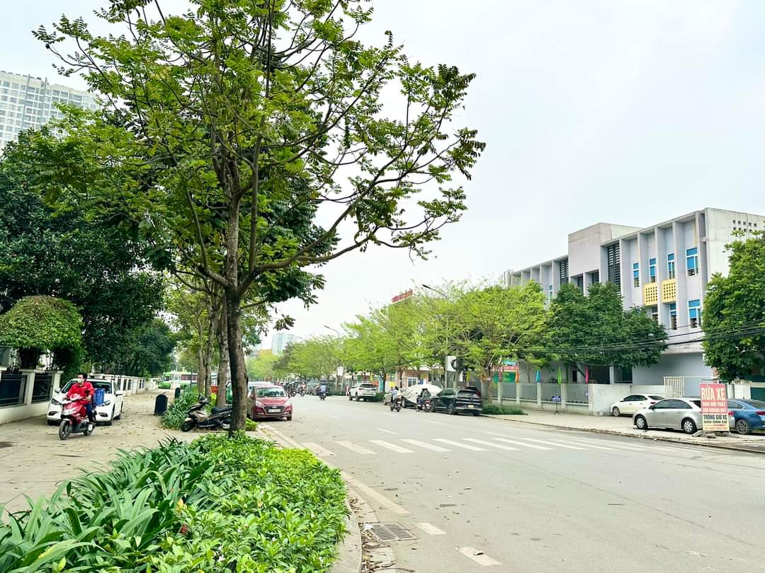 z5336277040685_e7fe52ba3b7fd8fd4fa592bb420492b0