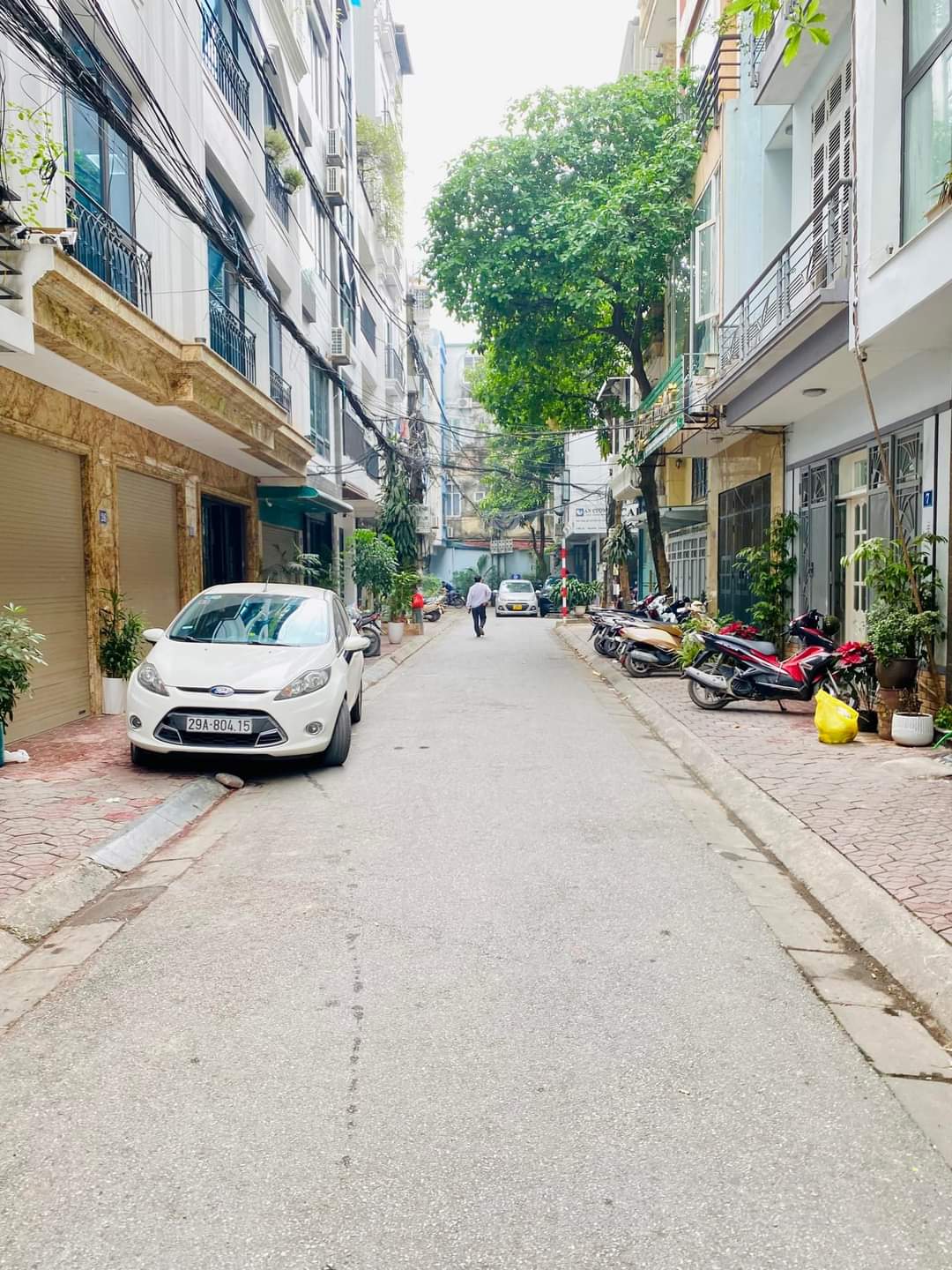 z5338577483469_c97feb40758698280e9814225bd90c49