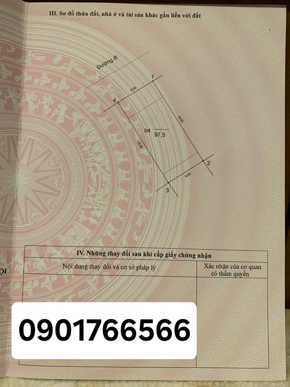 z5345882447835_cb9310b4f6e4c35ee05ba9bd2398bebb