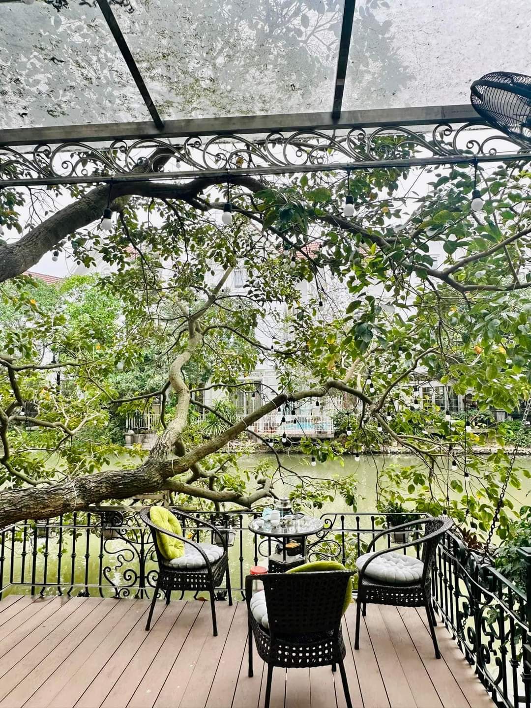 z5357862343788_e73ea392a12cd949effec5f2b04542f1