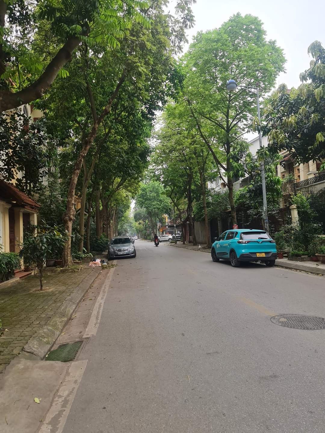 z5358455129972_ff8d66d479cb966e77d7fdedc54cfab9