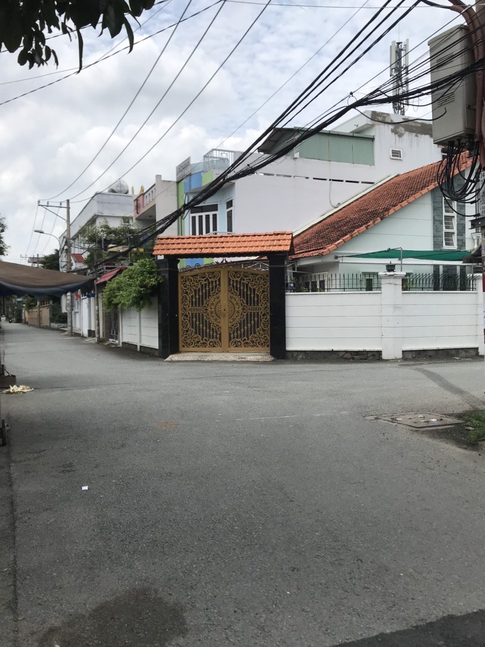 z5370588844347_7bd7e37fc576d98e3f8d926affb020d8