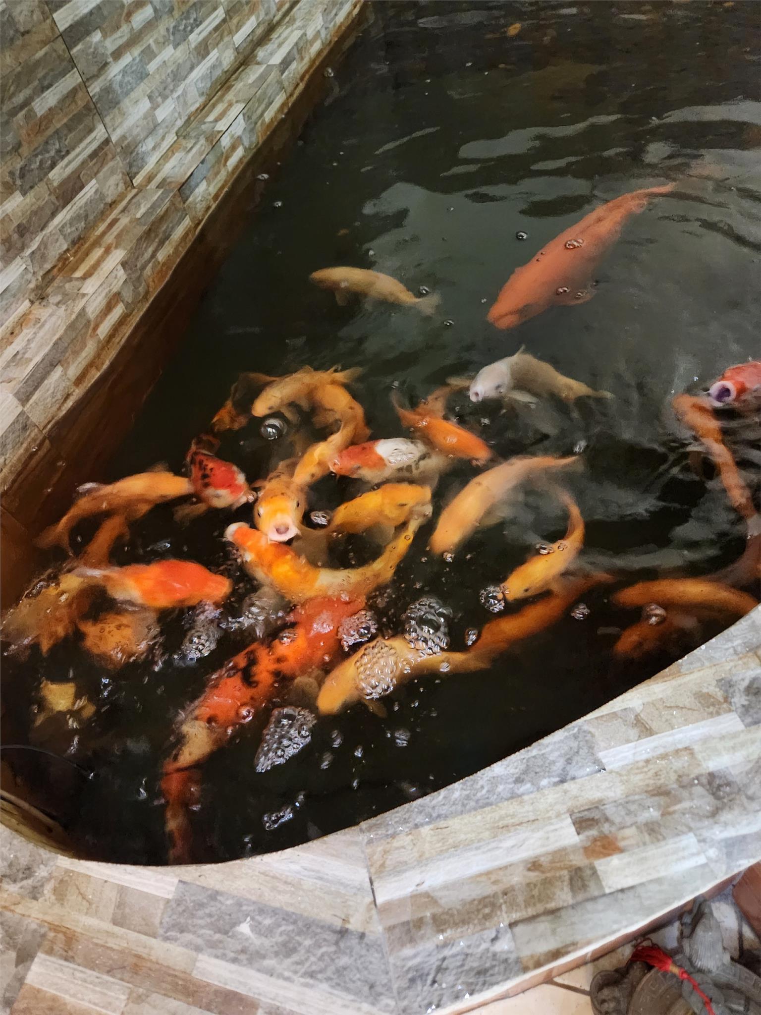 z5372709374160_9de5a0386f0e00f701ccbde0e5076a00