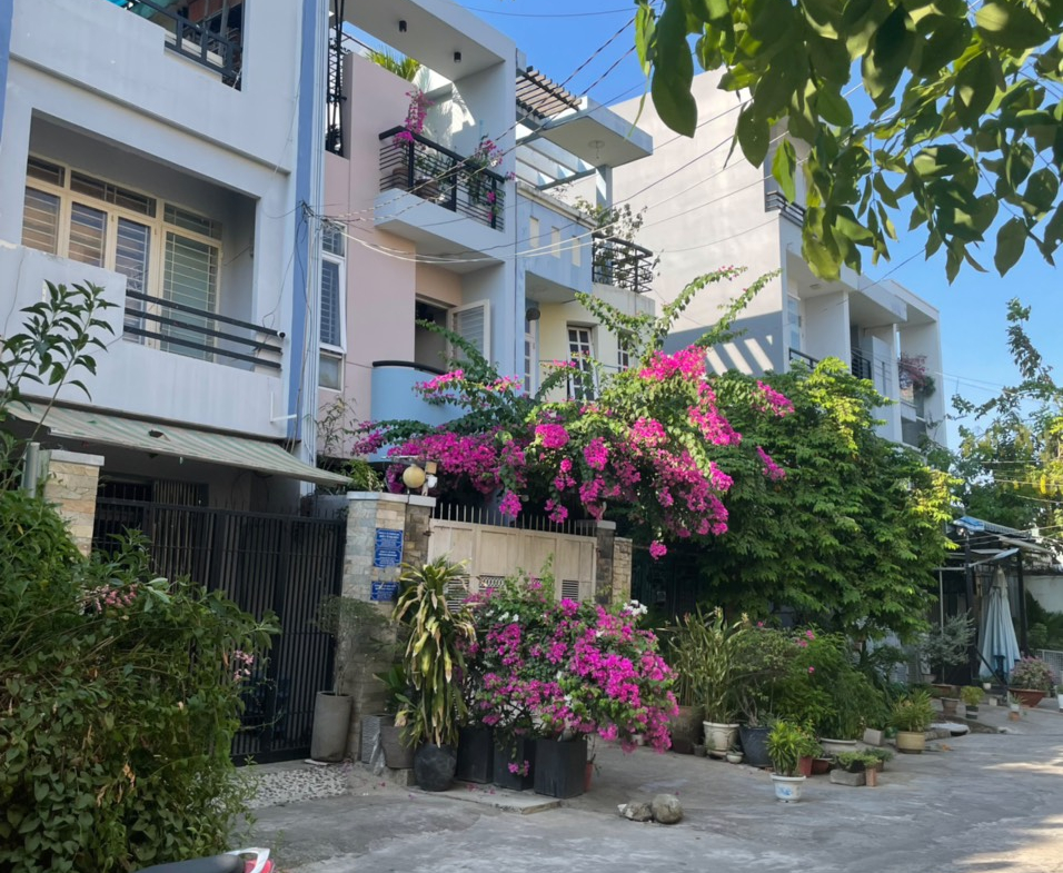 z5381016966780_65b031cb77284c92aa477c25a01f2f4c