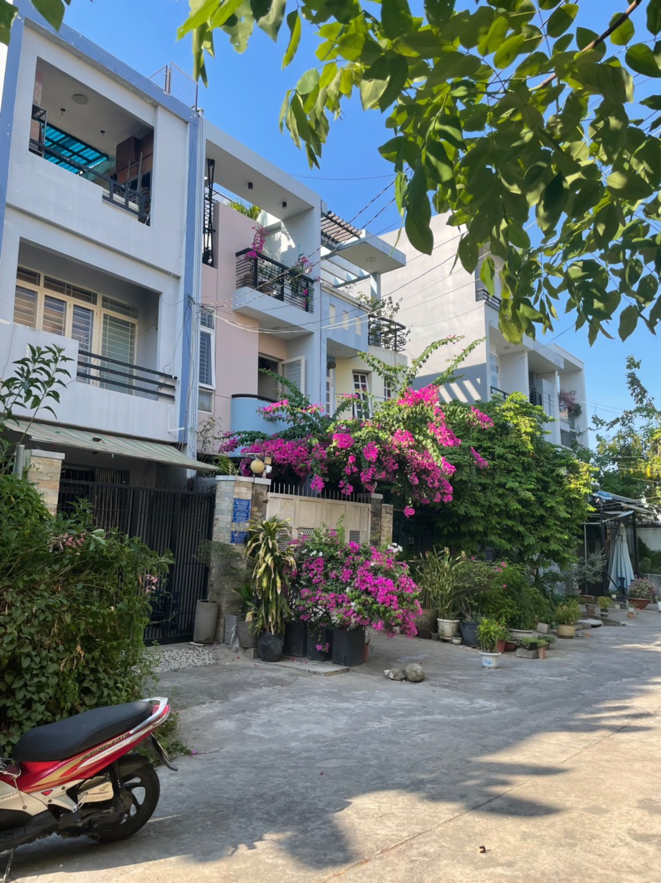 z5381016966780_65b031cb77284c92aa477c25a01f2f4c