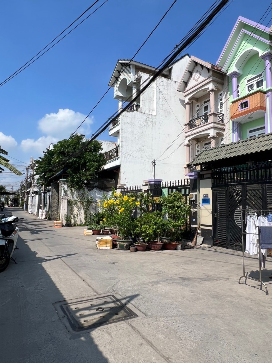 z5389445795509_38082bde7a035d36f79322885b57e9af