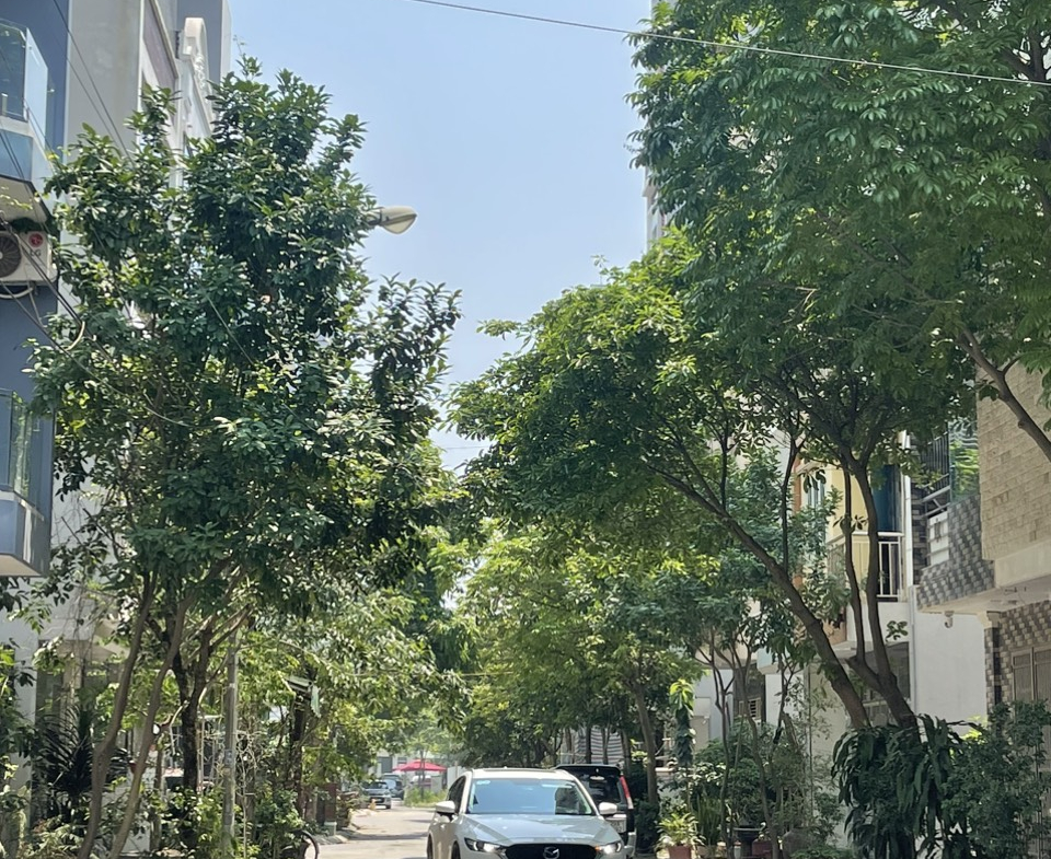 z5389657797576_8e9ee40a54b6d56c6594dd3c10152c1c