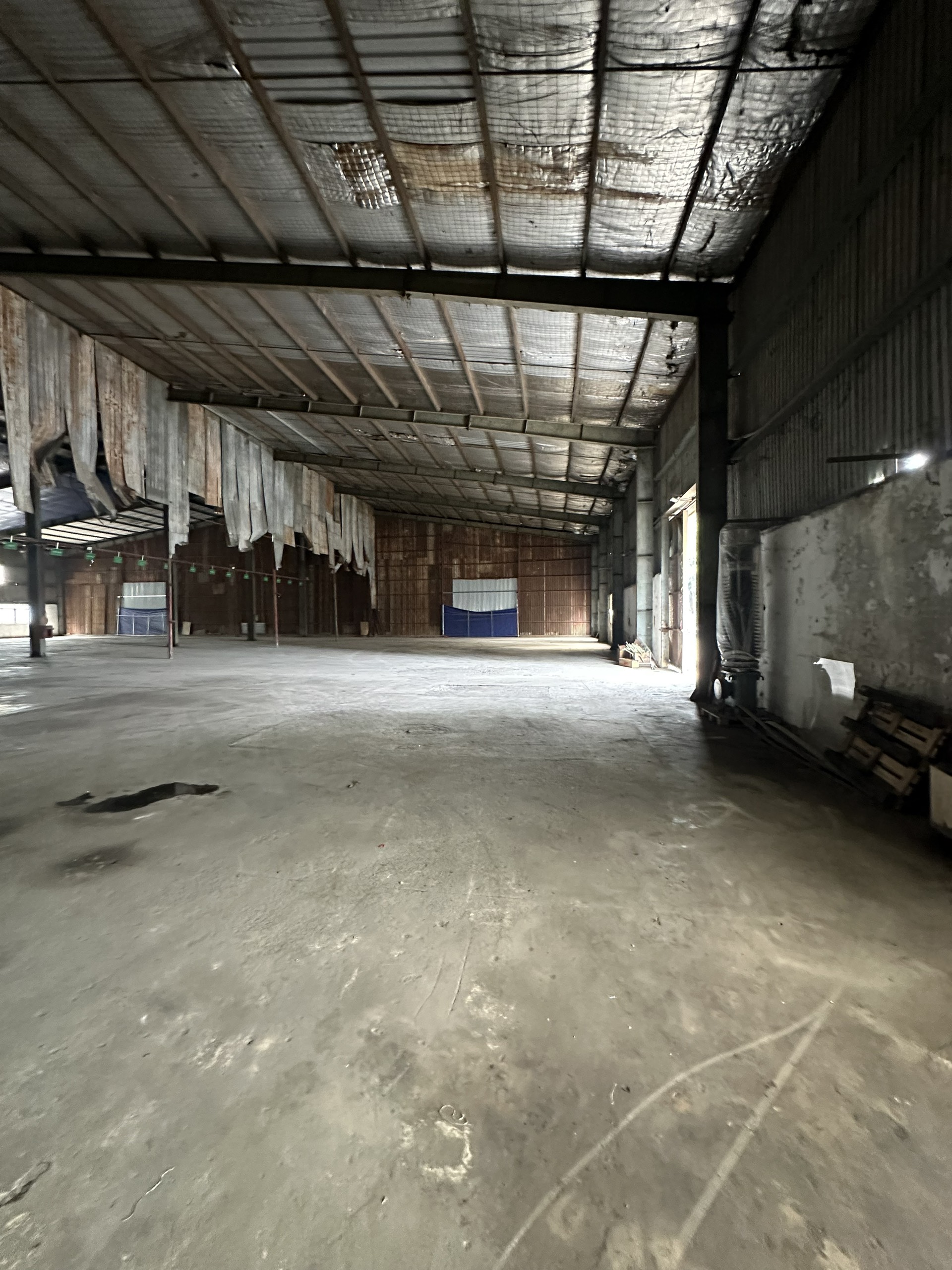 z5398990164053_052e05b5a664fc0dc71554327cb4f615