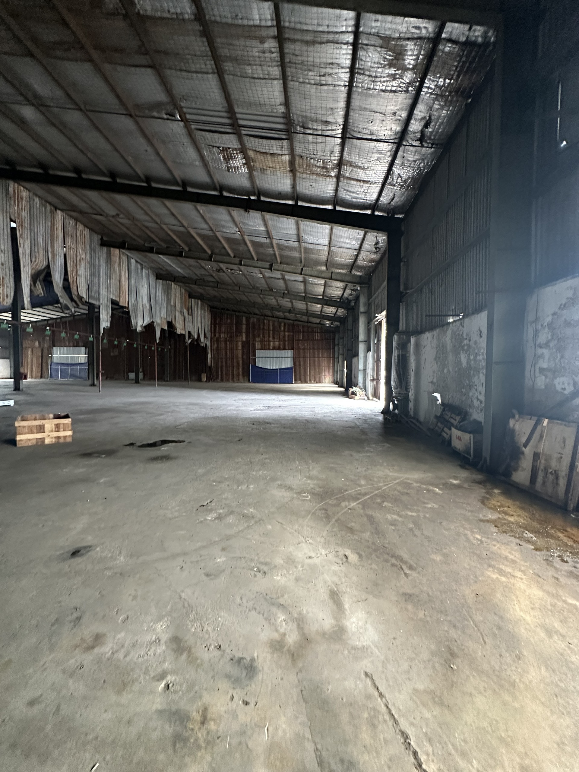 z5398990168034_831337ee0457ffb971ff4913fc5e28ec