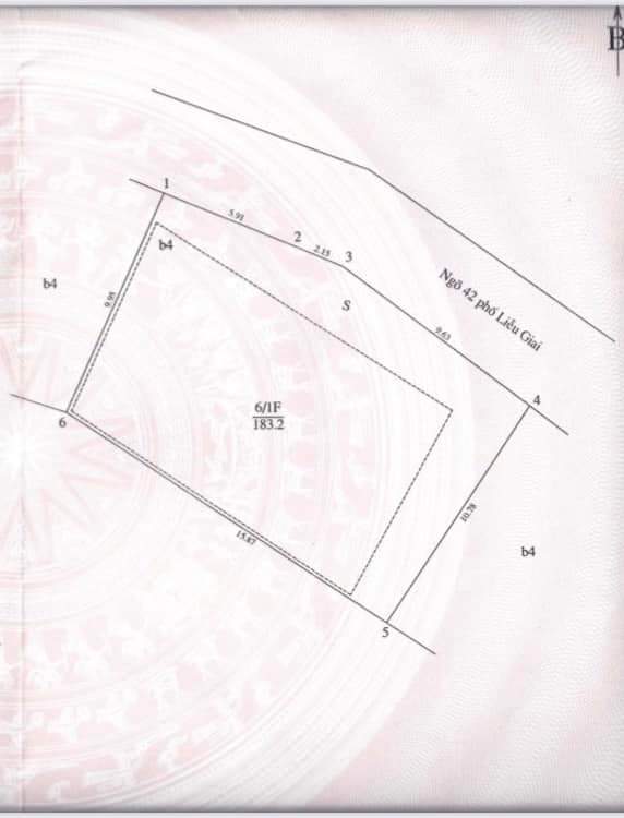 z5400557459245_76f2ddc572633d2c69a61bb796626b92