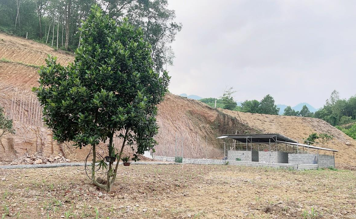 z5400884334230_e3450185a87768192c3b5644b81c2d23