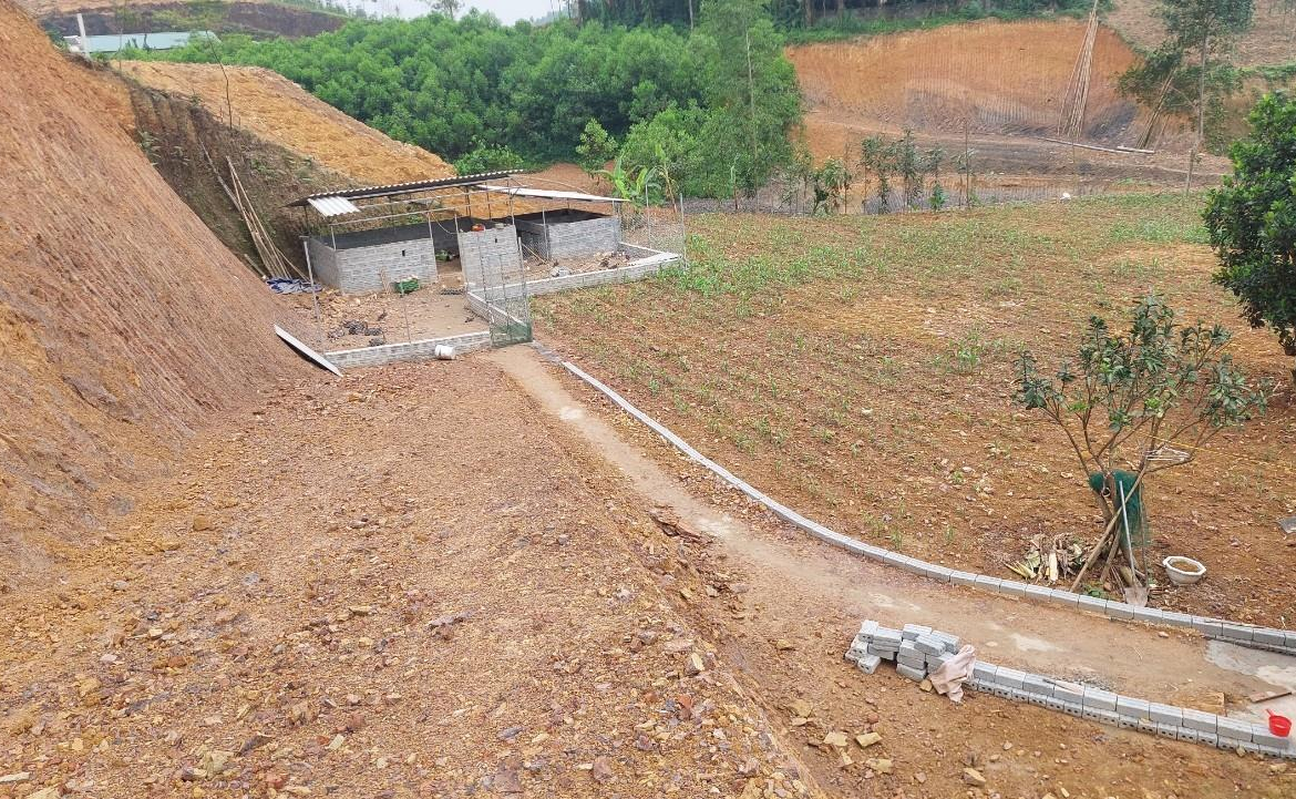 z5400884334244_c6aaee1f8931780d1812ca53cfa6df43