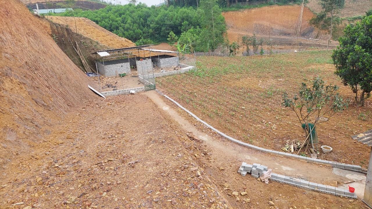 z5400884334244_c6aaee1f8931780d1812ca53cfa6df43