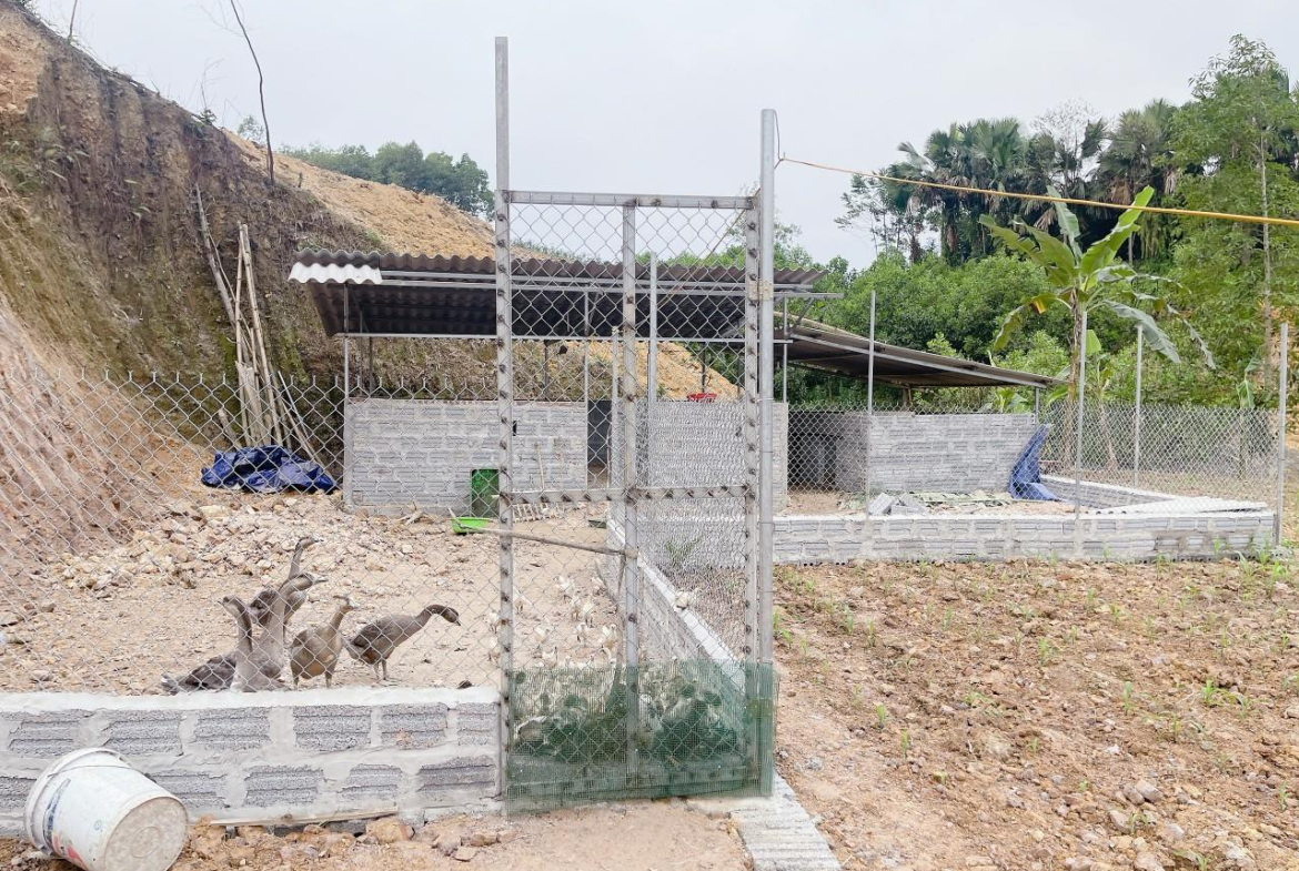 z5400884334310_108602abdbbeb1a30f0a7d4e05b713bc