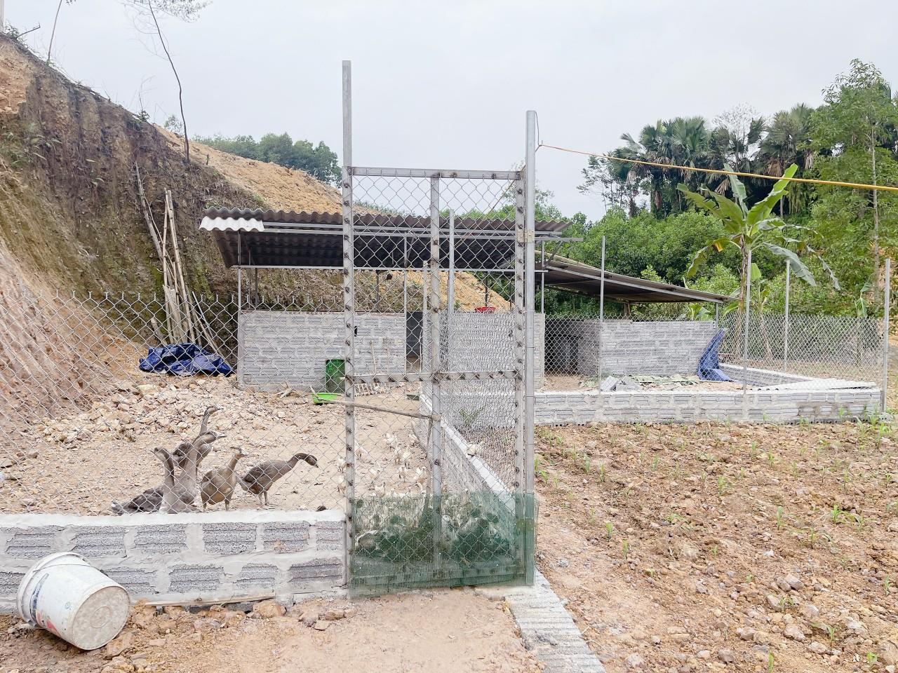 z5400884334310_108602abdbbeb1a30f0a7d4e05b713bc