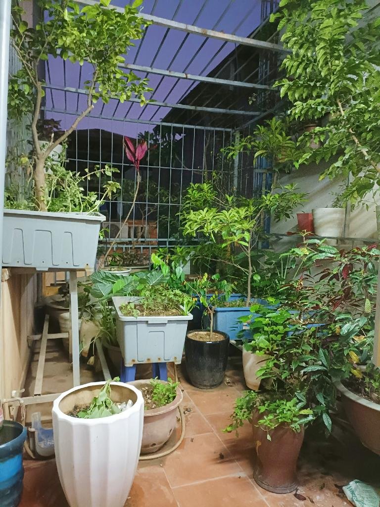 z5401705424951_57b8fb444172509ea421bee160c98e1b