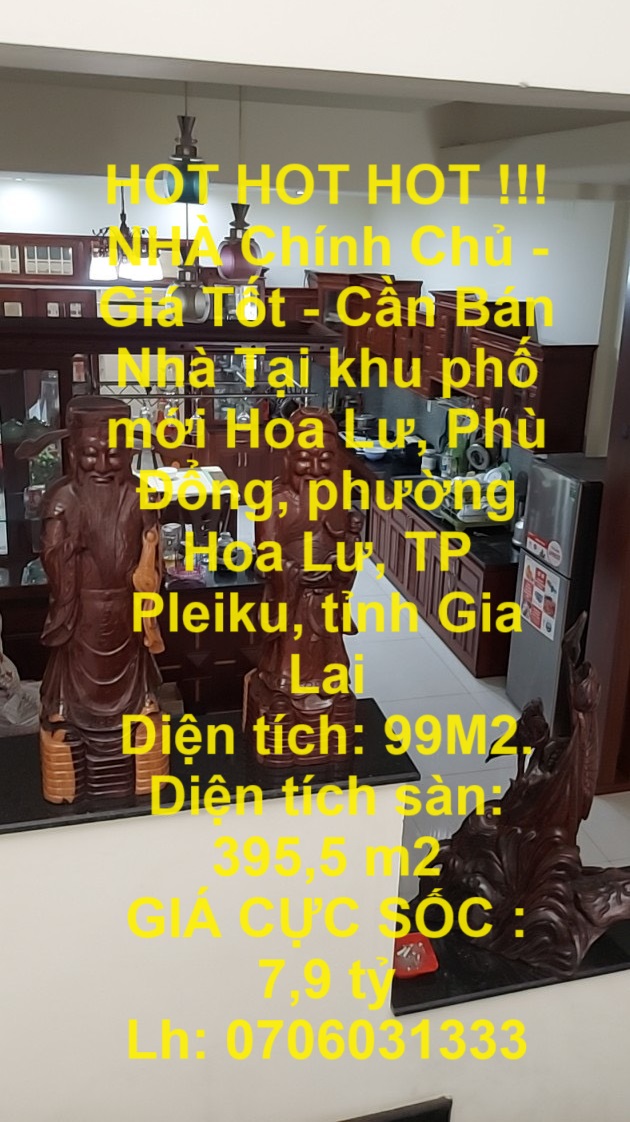 z5402302316919_ad8e7be82411e47aa9c5a25f9490cbde (1)