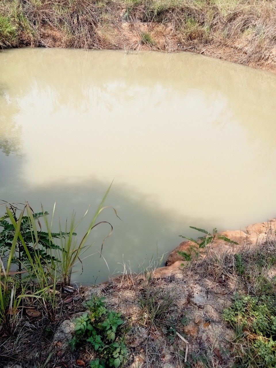 z5405405357015_e3ac78a97dee8d9c6273be87f9206867