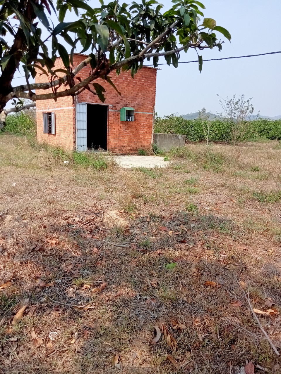 z5405405362994_46402e63e148f39e65b89eb83aca81e9