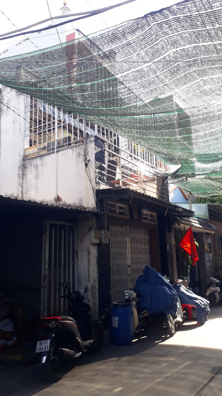 z5406912972650_8a99eab4f644e79075e01607545fee21