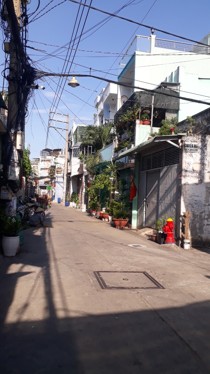 z5406912978331_4f58e5c1df0bba950fa28b310f6df4cb