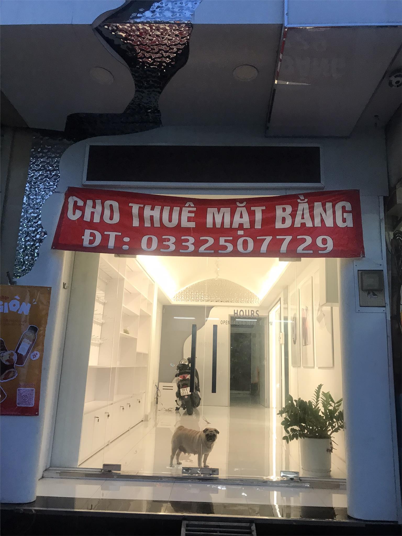 z5407006058832_df580d50d837fbf578303a7b7c0ede17