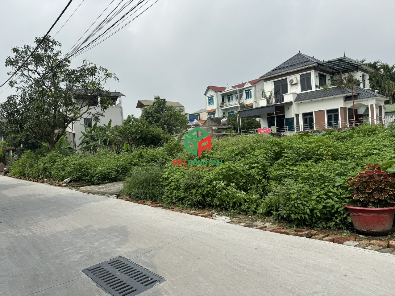 z5408108065865_077af4bc352df0ebe9f70dedb6612ce8