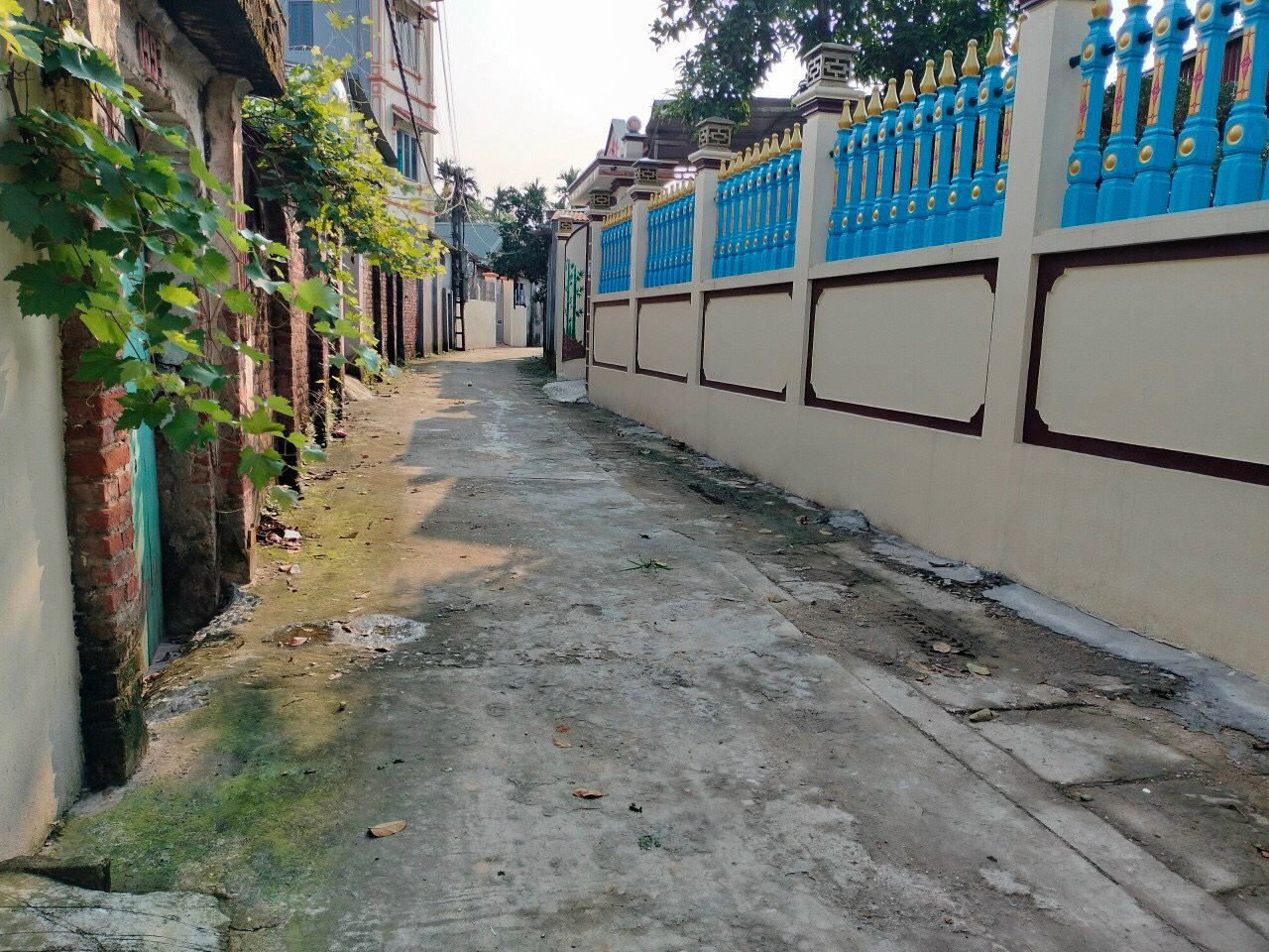 z5408216446076_6678f8a23f010b85ef2c3a532053df7d