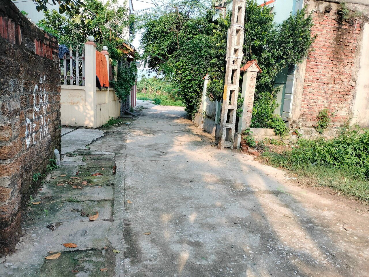 z5408216449899_764a1c569c8481fa9d2e2bf8e8f9c471