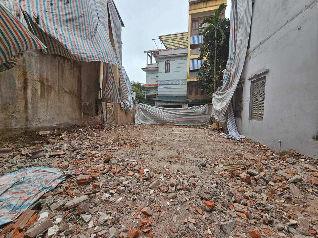 z5409527389746_0f56e3db797b2a0fe20847a14a01834d