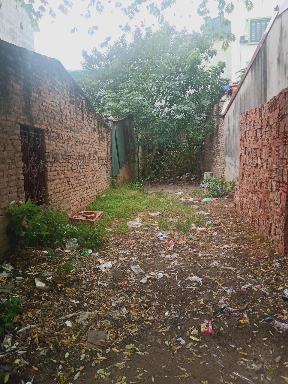 z5409527398662_5524a8500514c95f3d8c030889cdee66