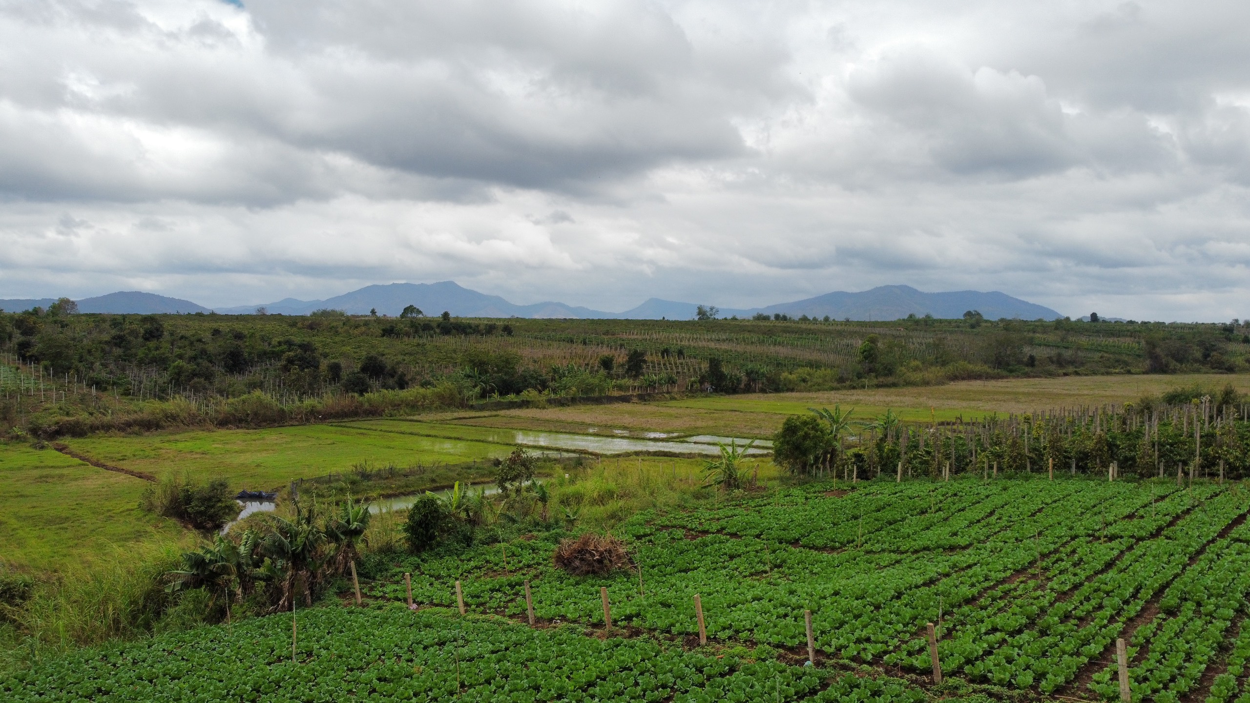 z5410336999303_3f8c331716aac9e3cff5ff4f46b59a3c