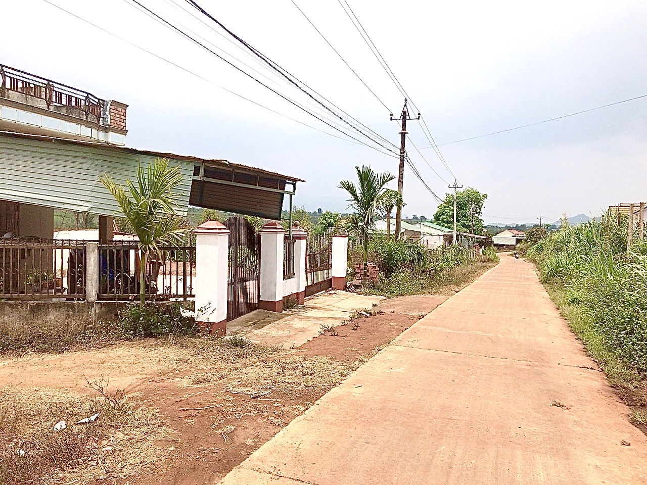 z5410337226711_408a00887221ea66c52b6c17cce88613