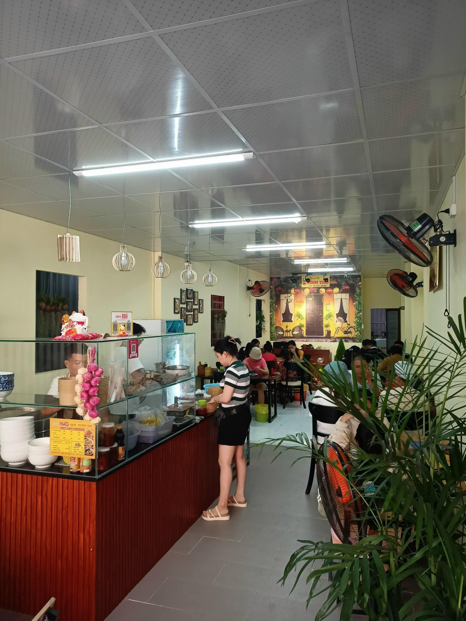 z5410535359694_7dda675ce89abd69c959391405c61083