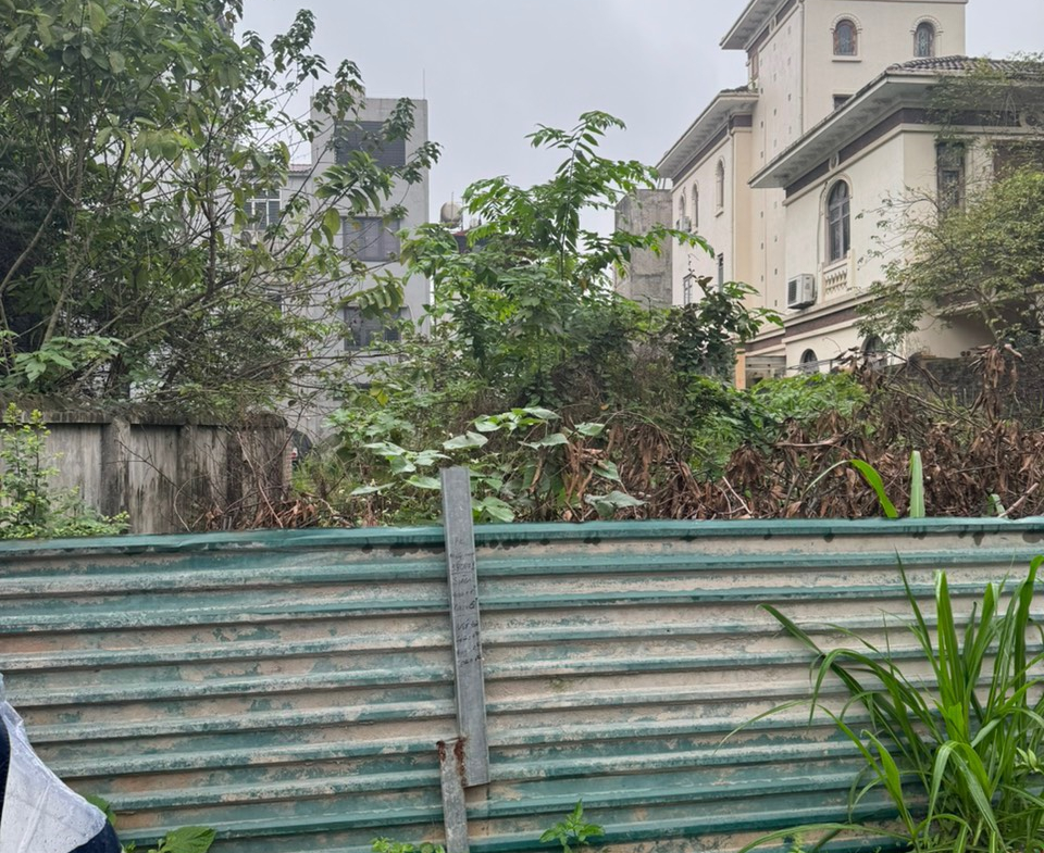 z5411548785473_0160bc9164bddf84caba872dd1c72cd5