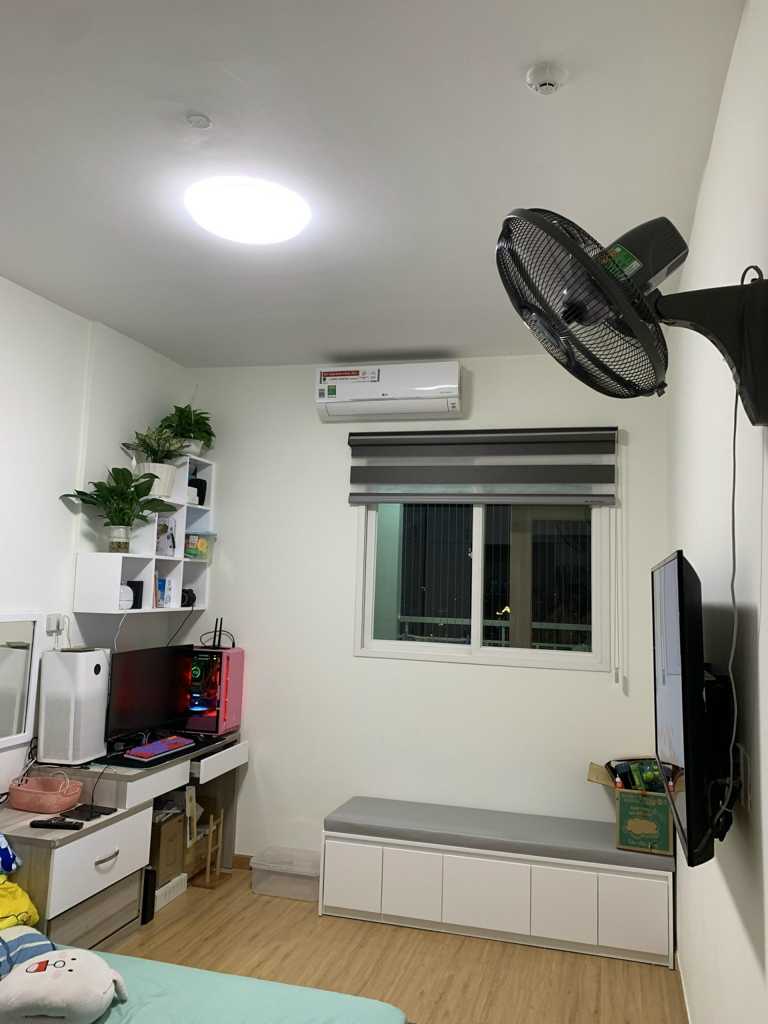 z5411741077400_03872a1d073941db43f063296f30025d