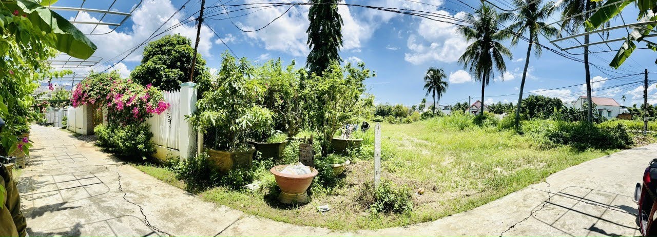 z5414149487227_84fd75f473a31df50582b752f9ede085