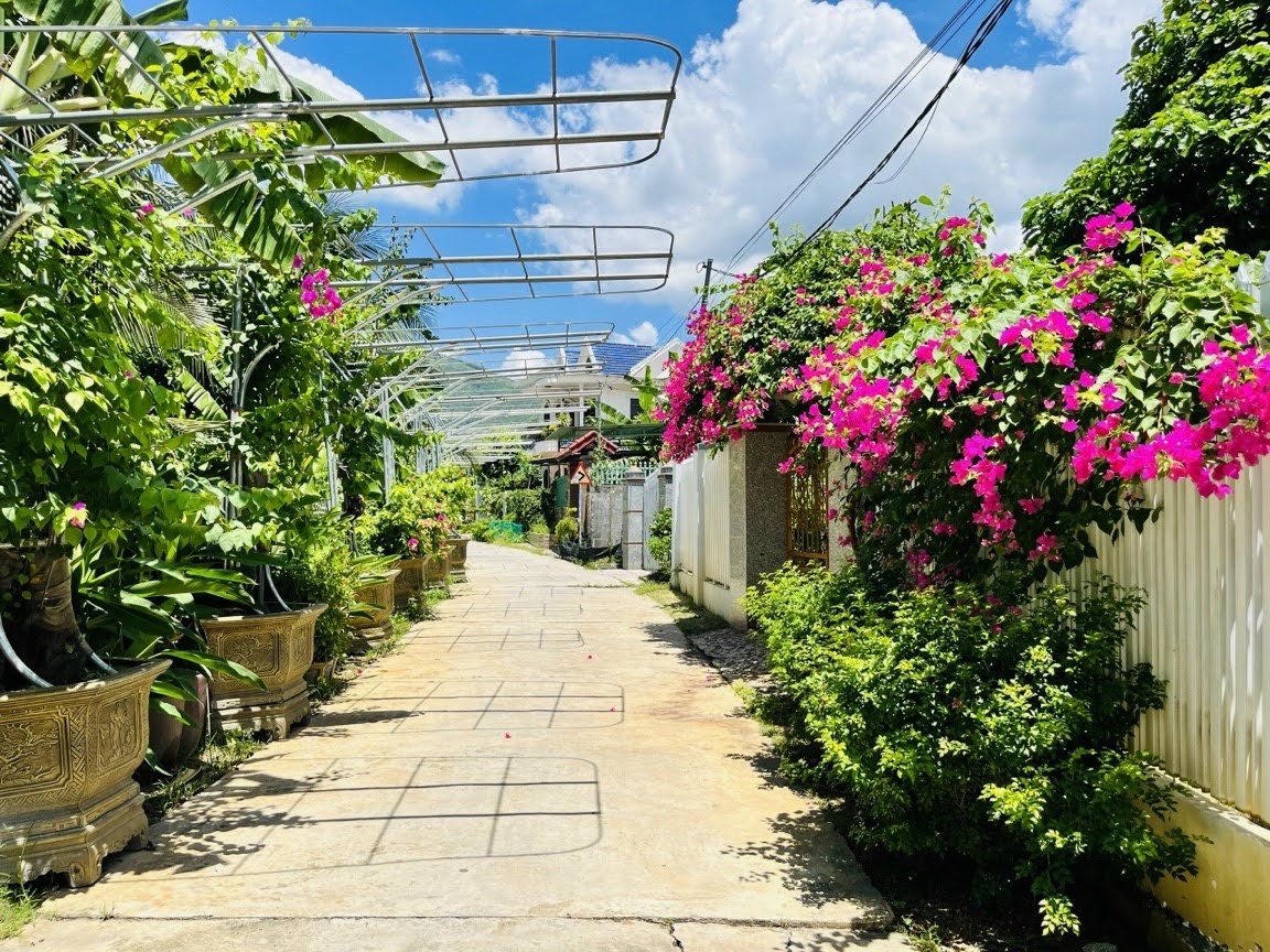 z5414149487228_e69e7ab5f3a02d367f37336b4e47b639