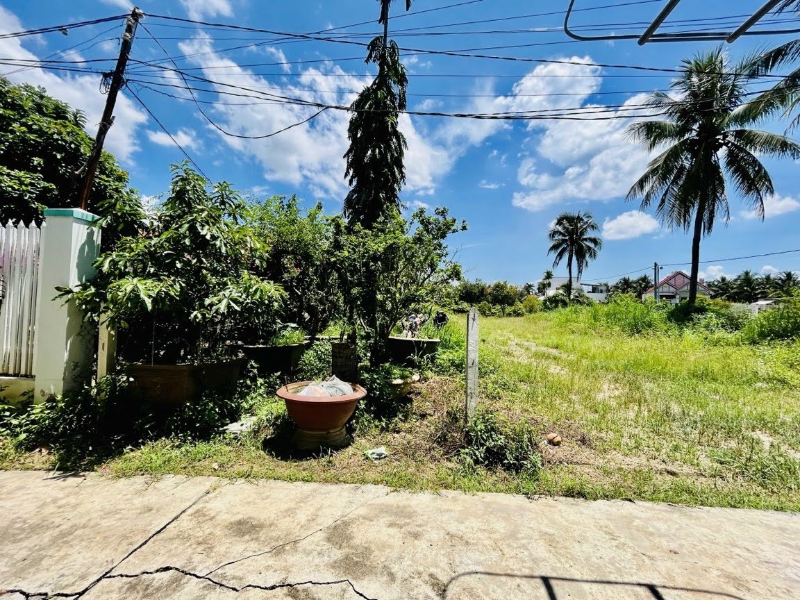 z5414149487881_0c8d5310e5a638e6d90c278309c7673e