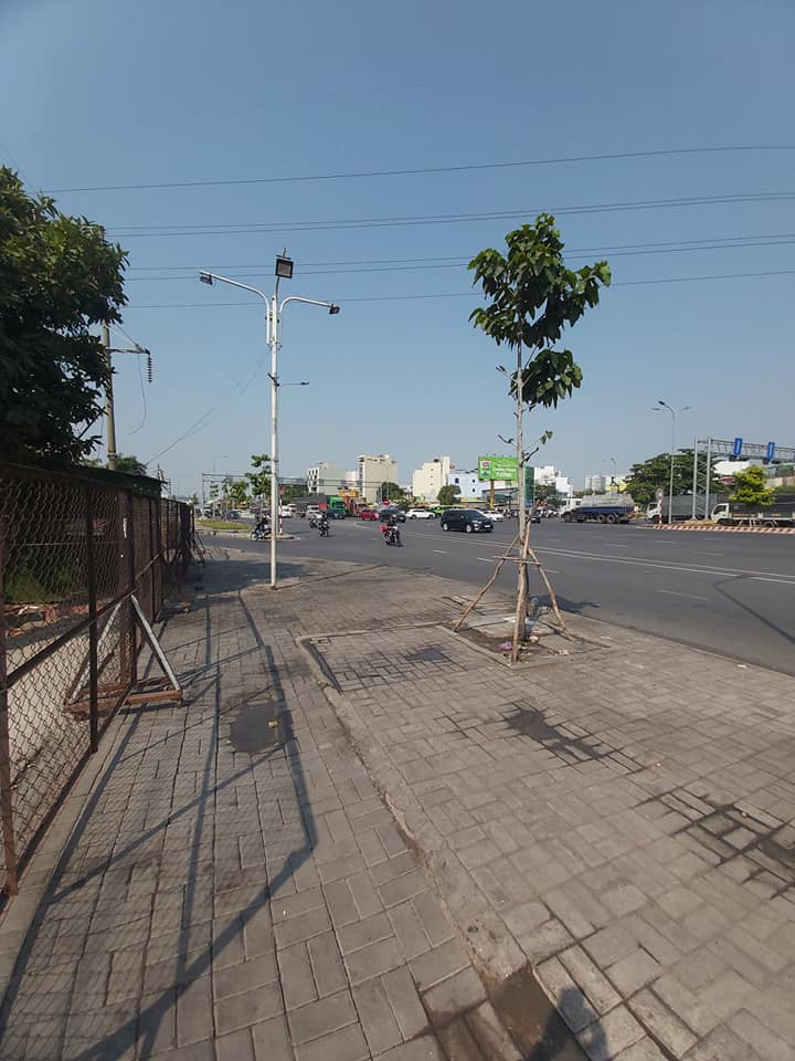 z5414325752150_15cc8bdae368f39f761096ee59b3e570