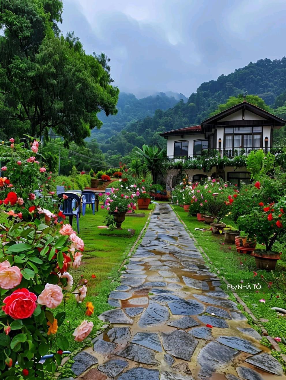 z5414515361772_fb0ca1305d39adbb53d190d48cf39471