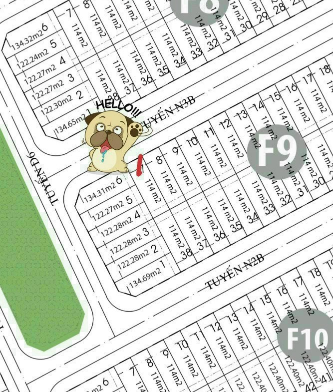 z5417243402424_9300661e8639994d1c601d1f9282c4e6