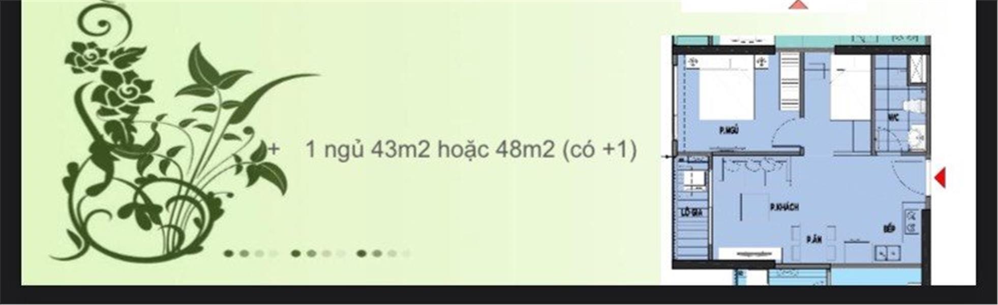 z5417522339845_7f657d0e25c6df57e5c8a6749d438703