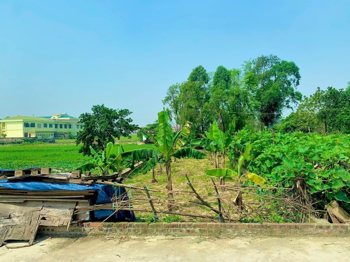 z5420559479814_b49fe717fcdc1661354db31a9be26c5e